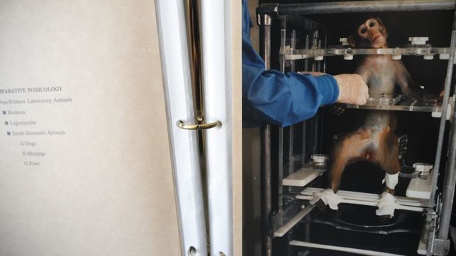 Foto-We-Animals-Jo-Anne-McArthur_EDIIMA20140425_0336_4