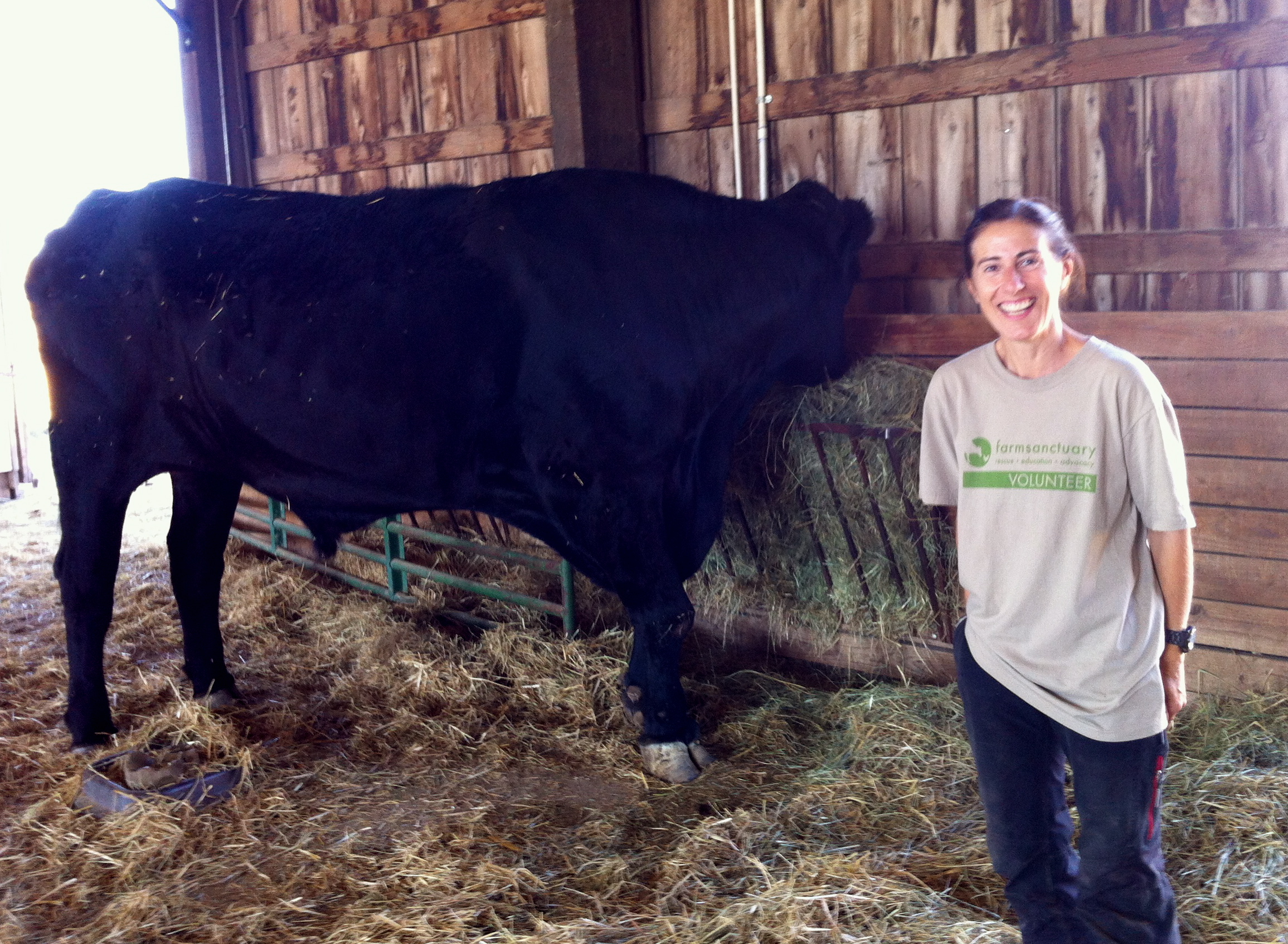 voluntariado-farm-sanctuary