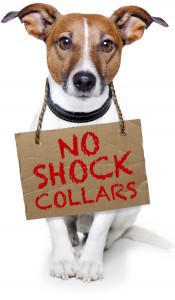 no-shock-collars-175x300