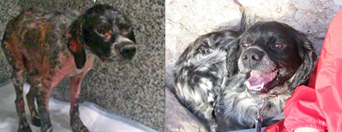 Debo antes y despues