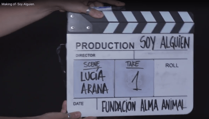 Making of campaña Soy Alguien de Fundación Alma Animal