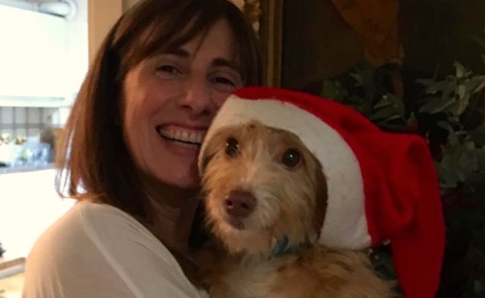 Navidades veganas: cómo sobrevivir sin matar a ningún familiar